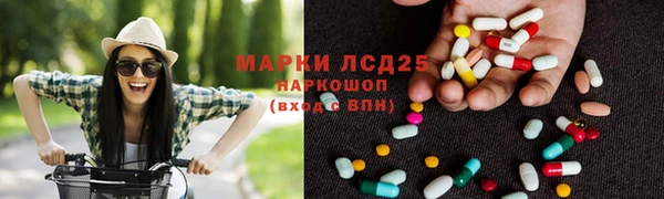индика Белокуриха