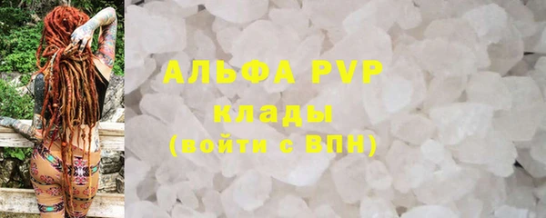 индика Баксан