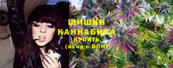 индика Белокуриха