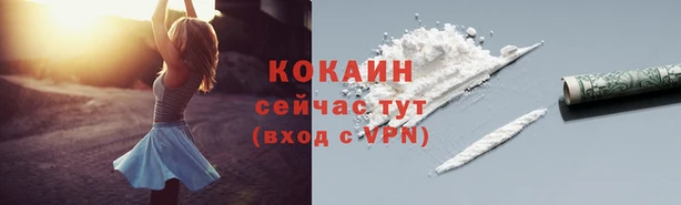 гидра Балахна