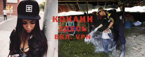 индика Баксан