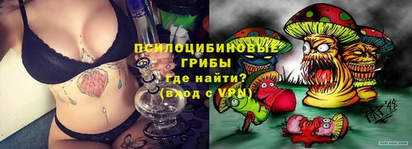 индика Белокуриха