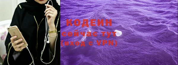 индика Баксан