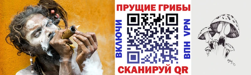 kraken маркетплейс  Мариинский Посад  Галлюциногенные грибы Cubensis 